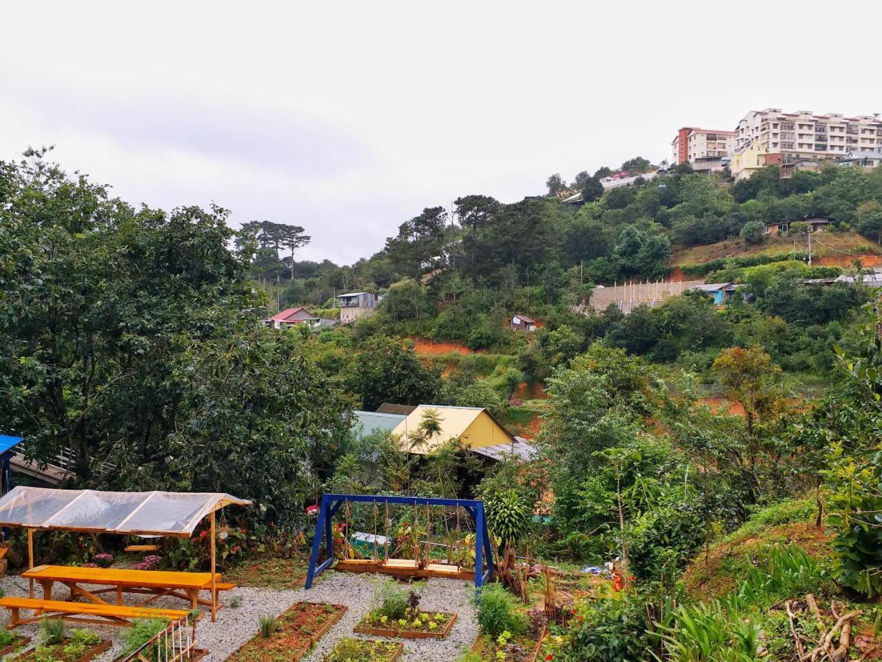 Degree 29 Hostel Đà Lạt Ngoại thất bức ảnh