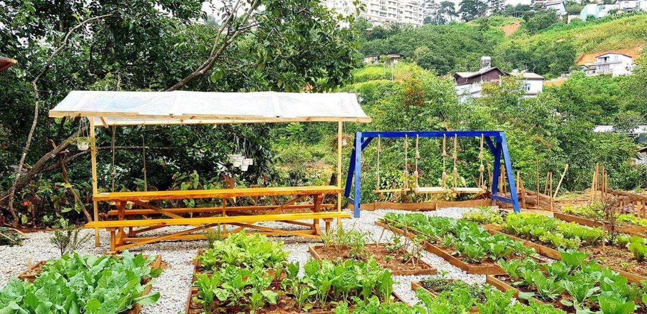 Degree 29 Hostel Đà Lạt Ngoại thất bức ảnh