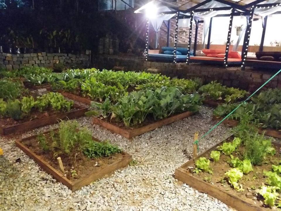 Degree 29 Hostel Đà Lạt Ngoại thất bức ảnh